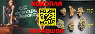 мдпв Партизанск