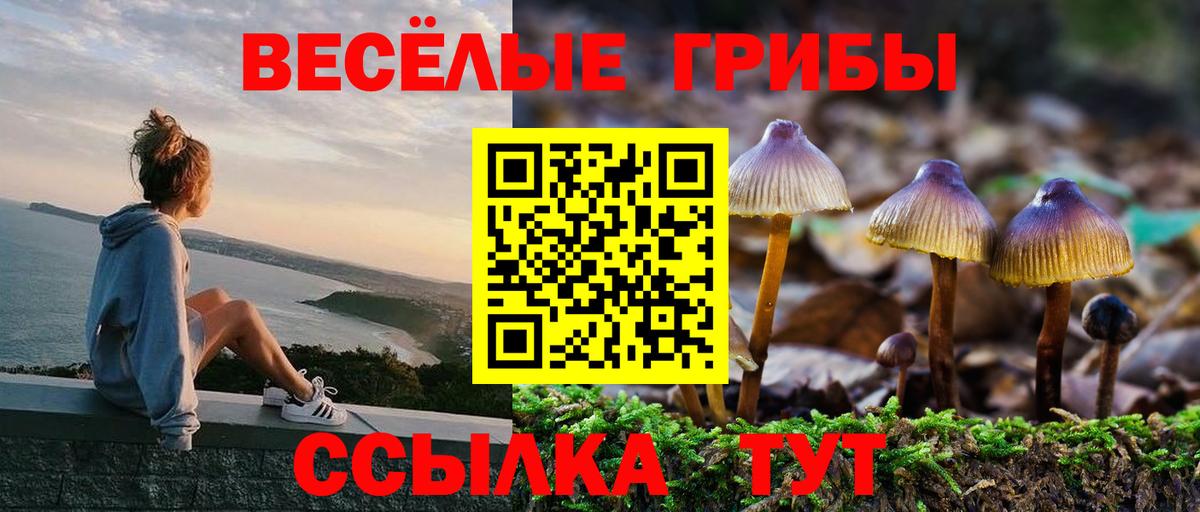 купить наркотик  Вход с VPN  Петропавловск-Камчатский  Псилоцибиновые грибы Psilocybine cubensis  Псилоцибиновые грибы Psilocybe 